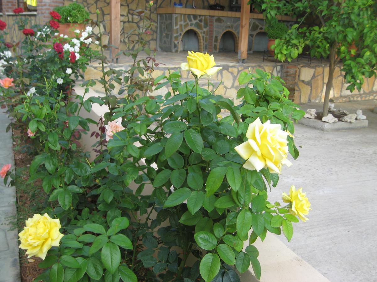 Achladi Beach Exterior foto